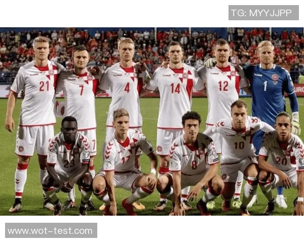 冰岛足球队现有球星介绍及其在国际赛场上的表现分析