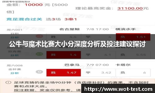 公牛与魔术比赛大小分深度分析及投注建议探讨