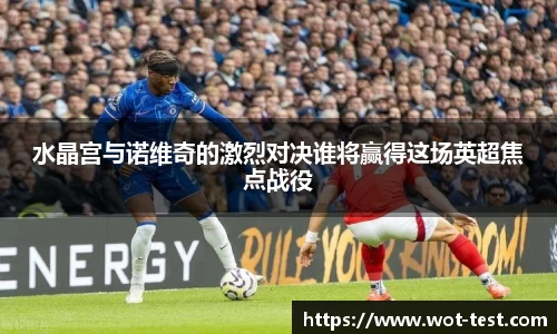 水晶宫与诺维奇的激烈对决谁将赢得这场英超焦点战役